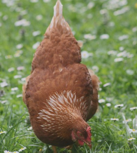 tina-xinia-N4akUr2pX5g-unsplash